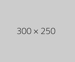 300x250