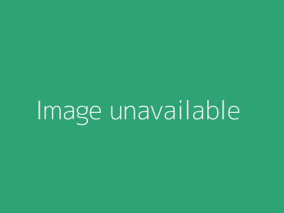 Image to Terrain Module
