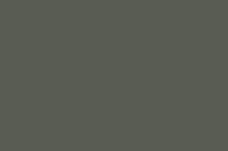 > Murky Pond