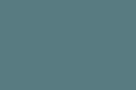 > Mallard Feather