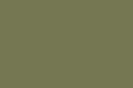 >IC16-1 Fern Green