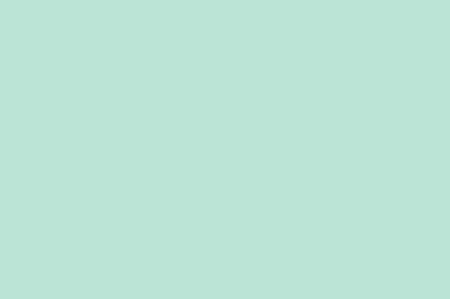 >C333 Mint Frost