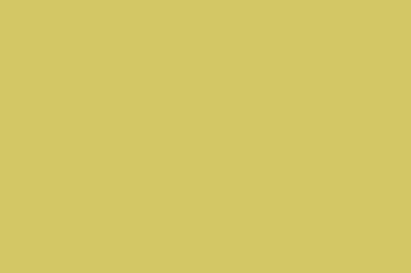 > Bright Bud