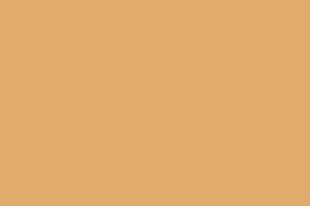 > Bee Hive