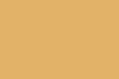 >B155 Straw Man