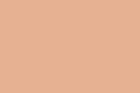 >B064 Orange Flower