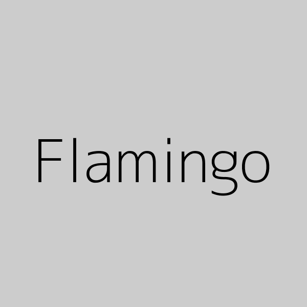 600x600&text=Flamingo