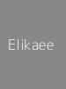 Mohammad Elikaee