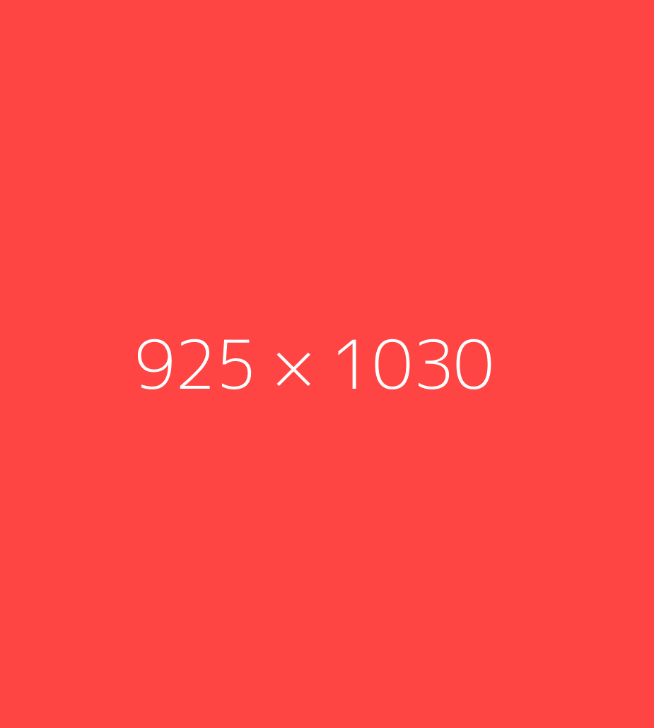 sapien cum sociis natoque penatibus