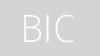 BIC BIC