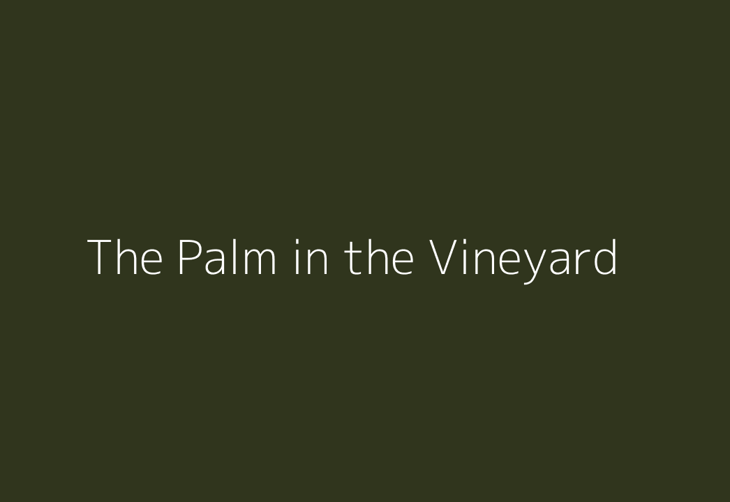 The Palm in the Vineyard