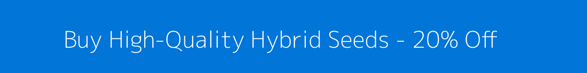 Buy High-Quality Hybrid Seeds - 20% Off
