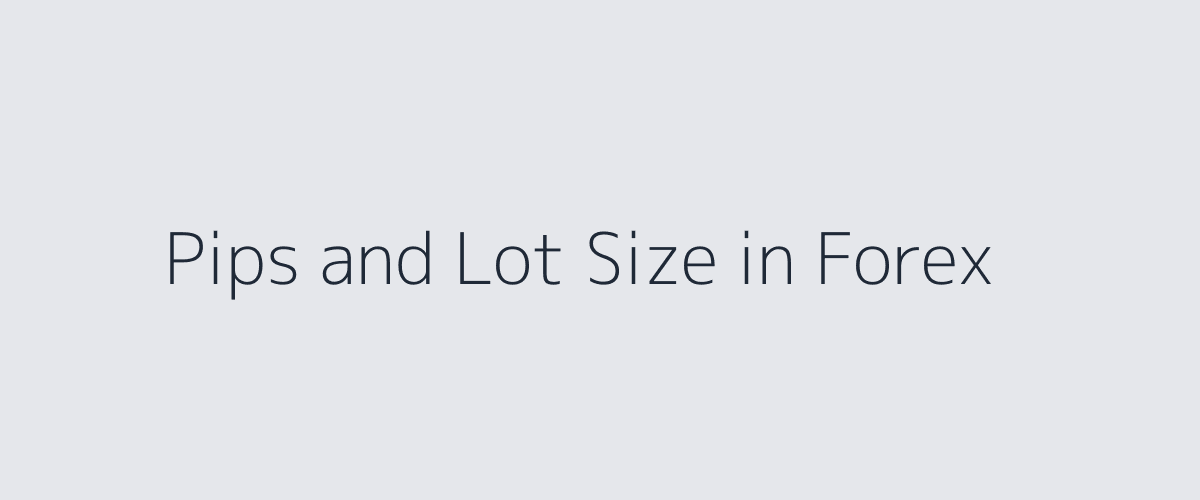 Understanding Pips and Lot Sizes in Forex Trading