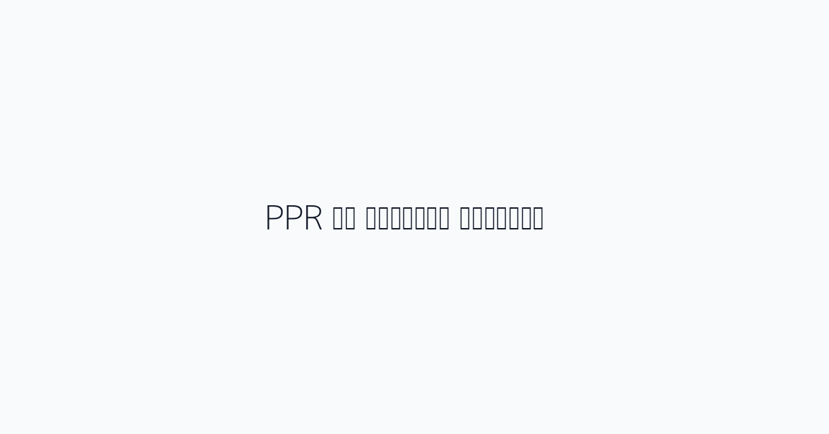 المفهوم الأساسي لـ PPR