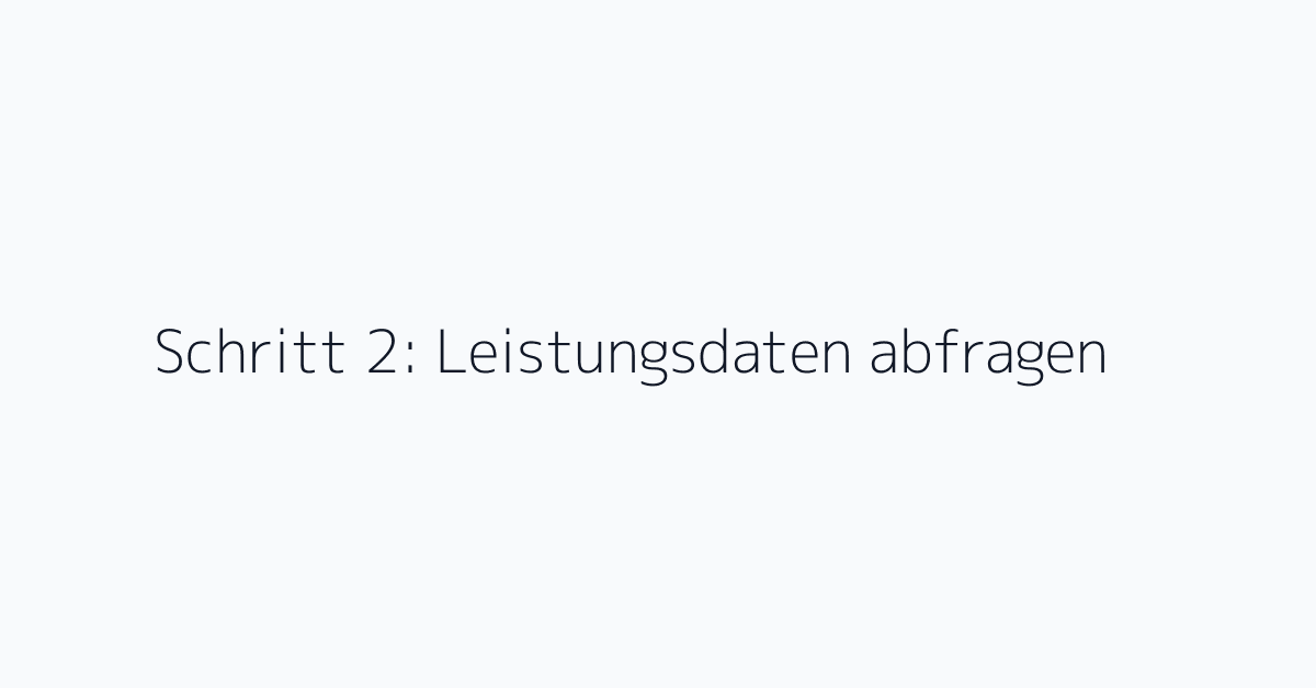Schritt 2: Leistungsdaten abfragen