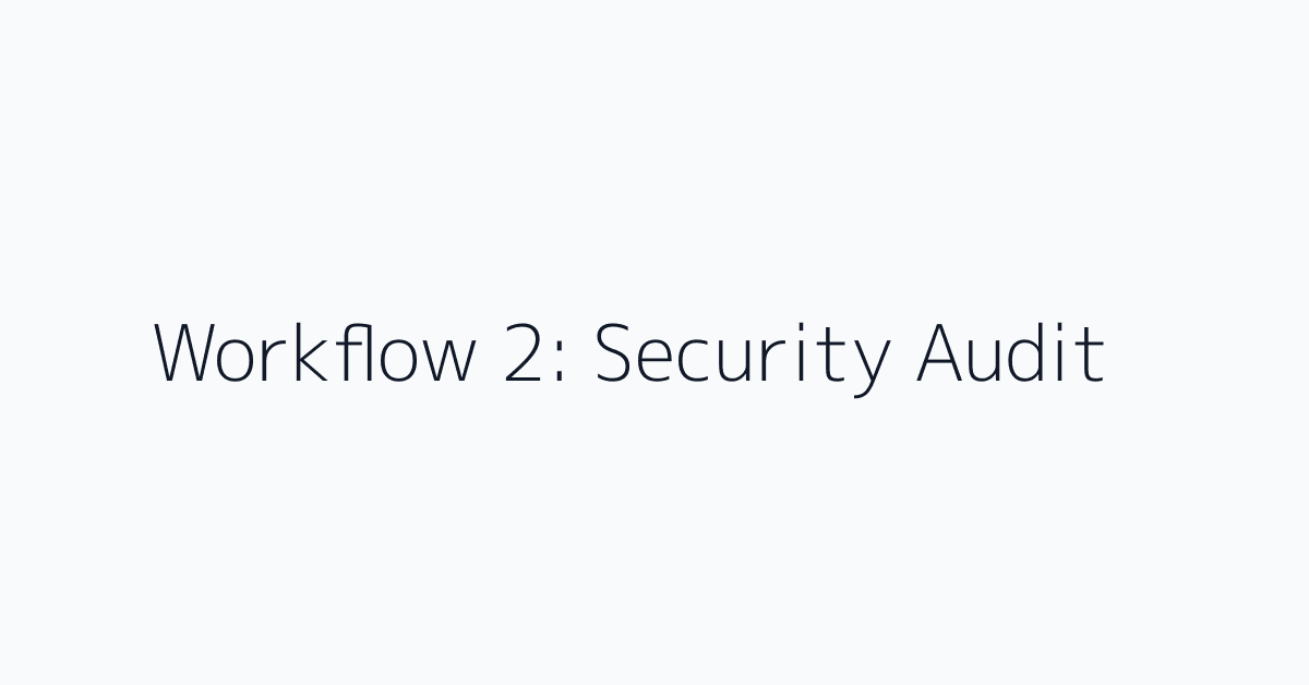 Workflow 2: Security Audit