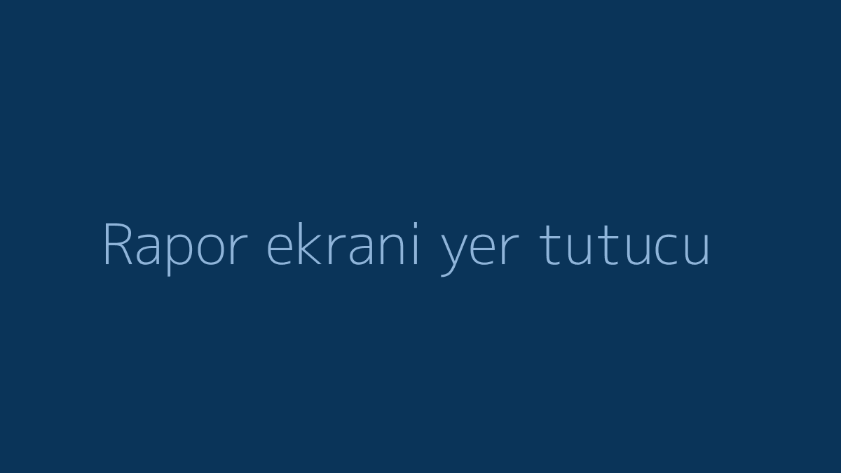 Rapor ekranının yerini tutan boş çerçeve.