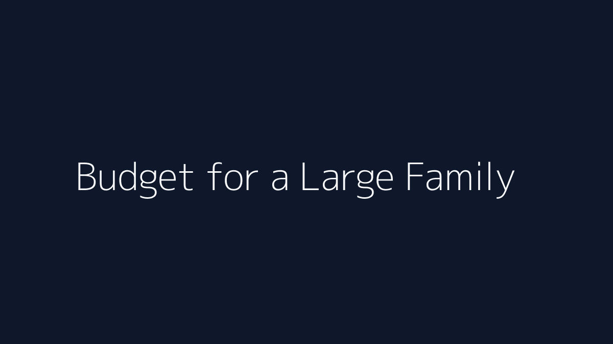 How to Budget for a Large Family featured image