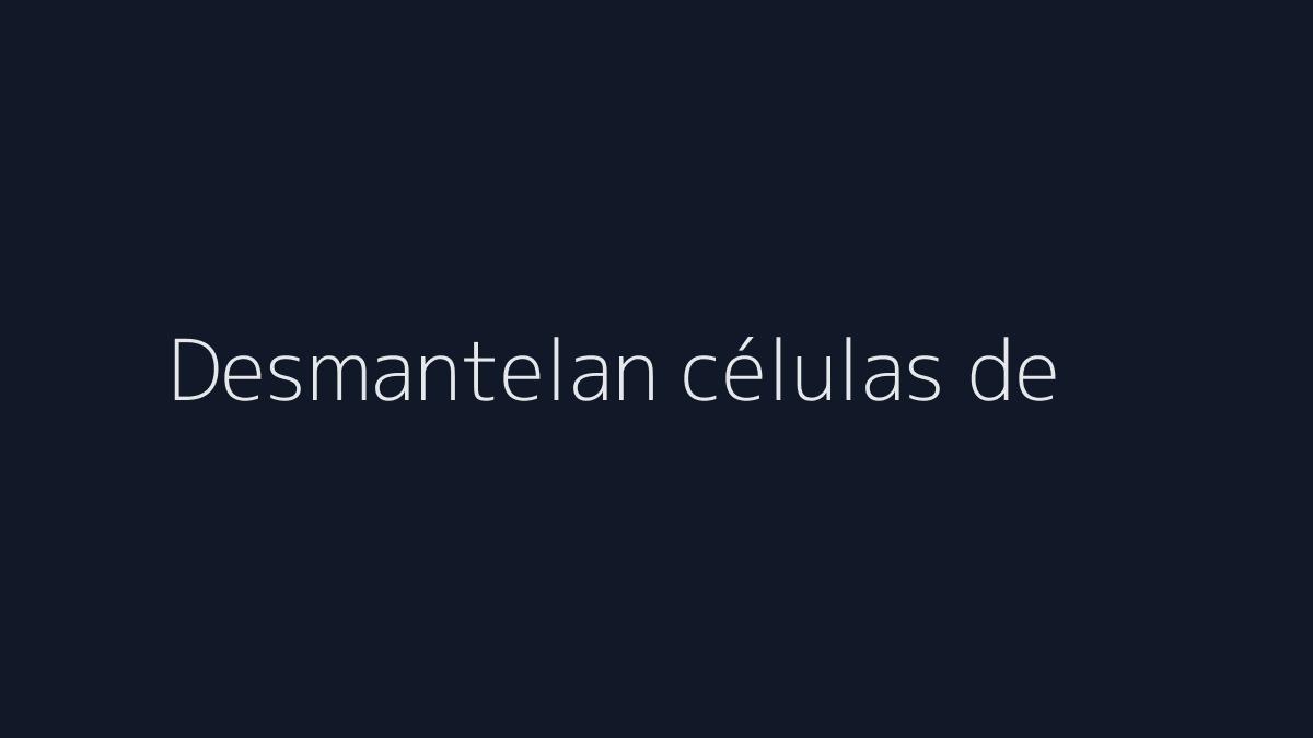 e5e7eb.jpg&text=Desmantelan%20c%C3%A9lulas%20de%20