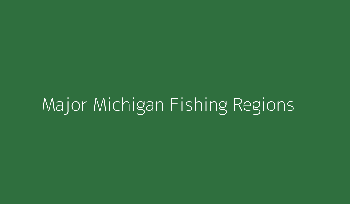 Map-style visualization of major Michigan fishing regions including the Au Sable River, Lake St. Clair, and the Grand River