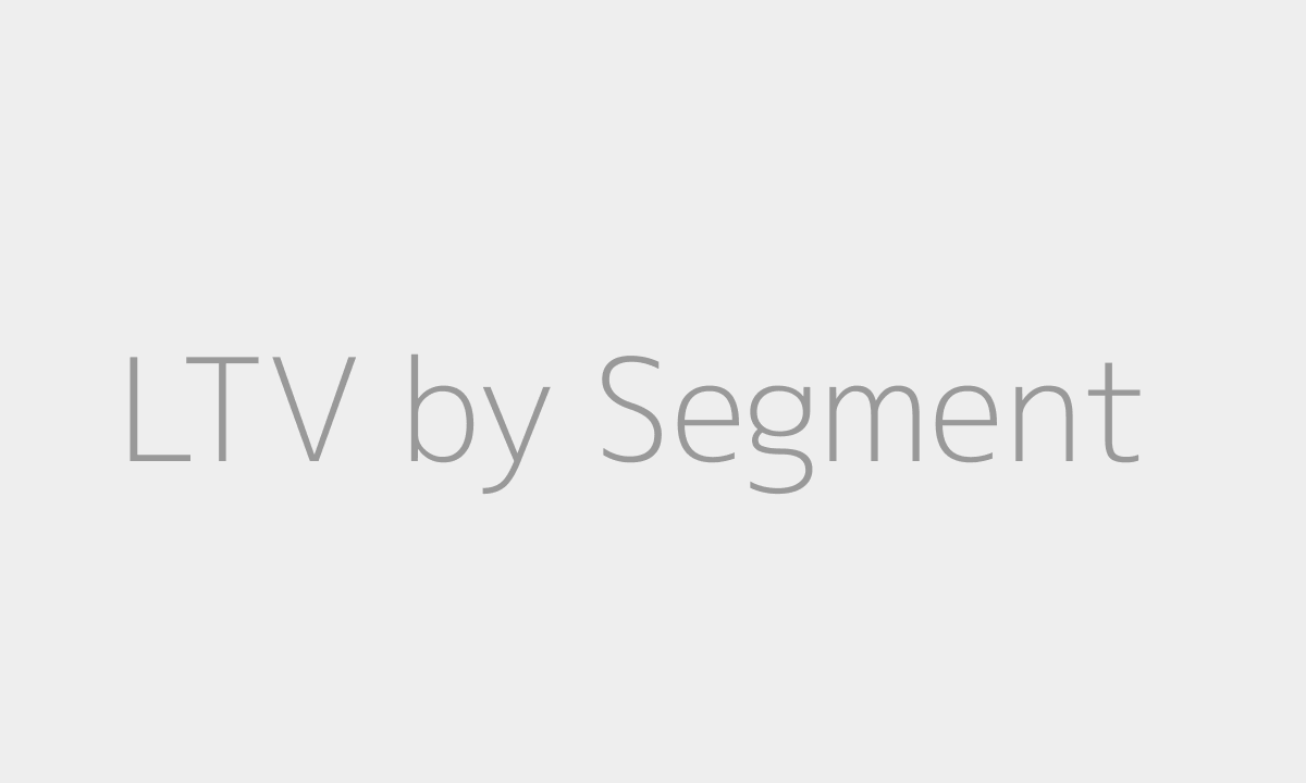LTV by segment wireframe