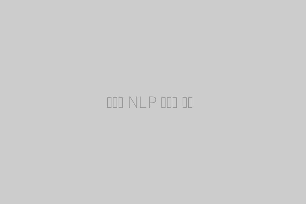 에릭슨 NLP 트랜스 개발