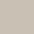Taupe Leather