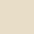 Cream Leather