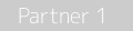 Parceiro 1