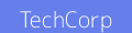 TechCorp Solutions