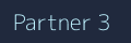 Partner 3