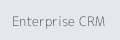 Enterprise CRM Logo