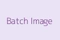 Batch preview