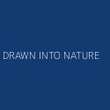 DRAWN INTO NATURE