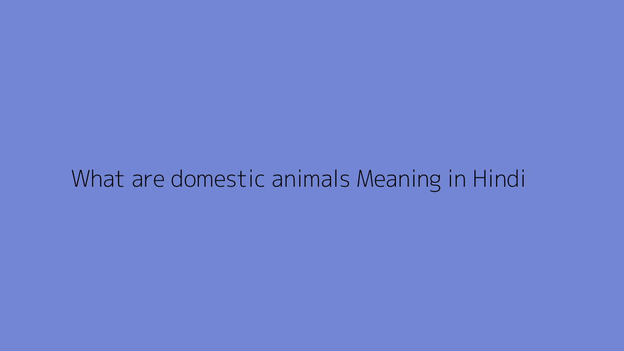 domestic-animals-meaning-in-hindi-informacionpublica-svet-gob-gt