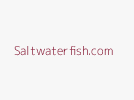Saltwaterfish.com