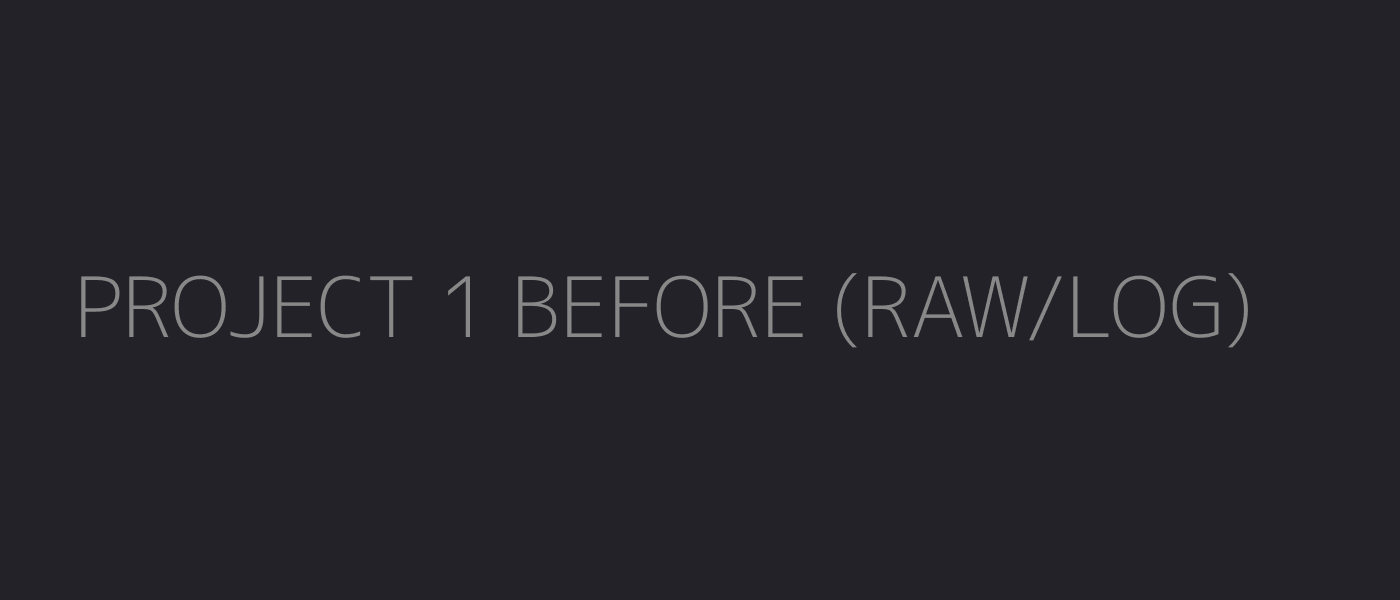 Camera RAW