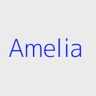 Bureau d'affaires immobiliere Amelia