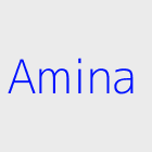 Agence immobiliere Amina