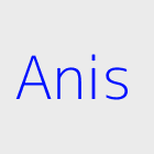 Agence immobiliere anis
