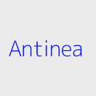 Agence immobiliere antinea