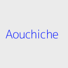 Promotion immobiliere aouchiche