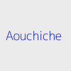 Promotion immobiliere aouchiche