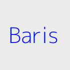 Agence immobiliere baris