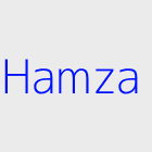 Agence immobiliere Hamza
