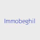 Agence immobiliere immobeghil