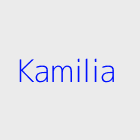 Agence immobiliere kamilia