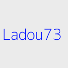 Courtier immobilier ladou73