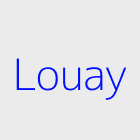 Agence immobiliere louay