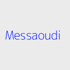 Agence immobiliere Messaoudi